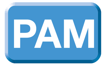 PAM (амплитудно–импульсная модуляция)